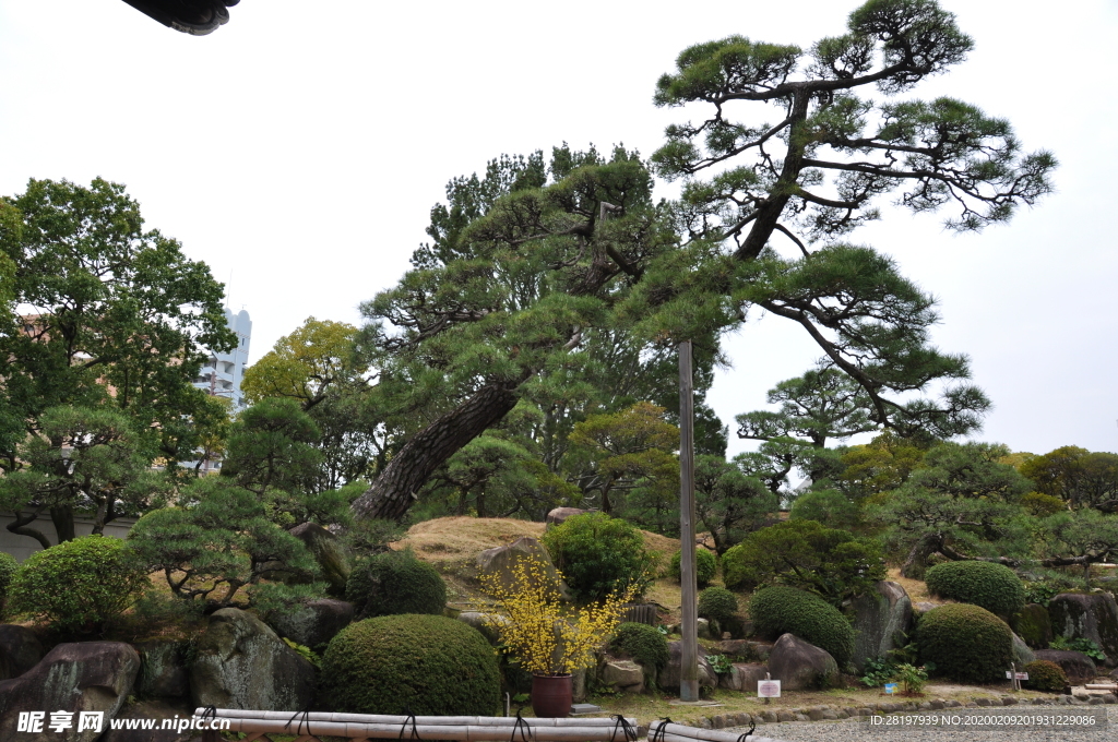 2019 日本 旅游 神户