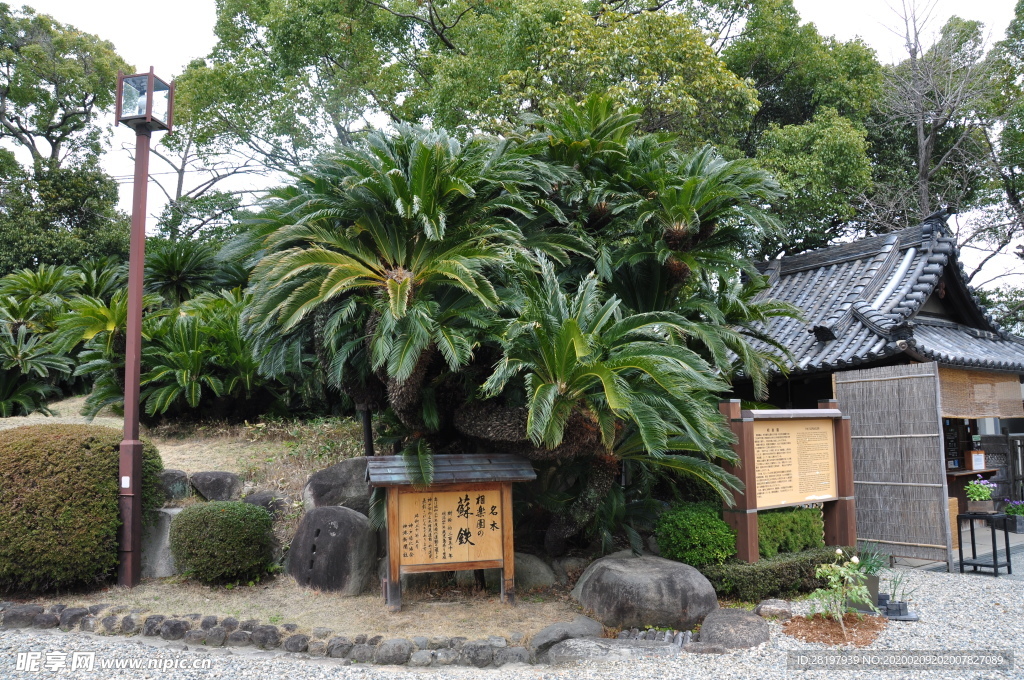 2019 日本 旅游 神户