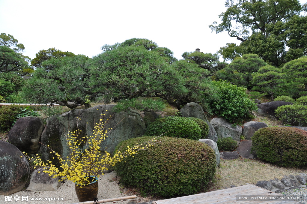 2019 日本 旅游 神户