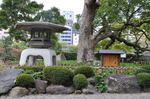 2019 日本 旅游 神户