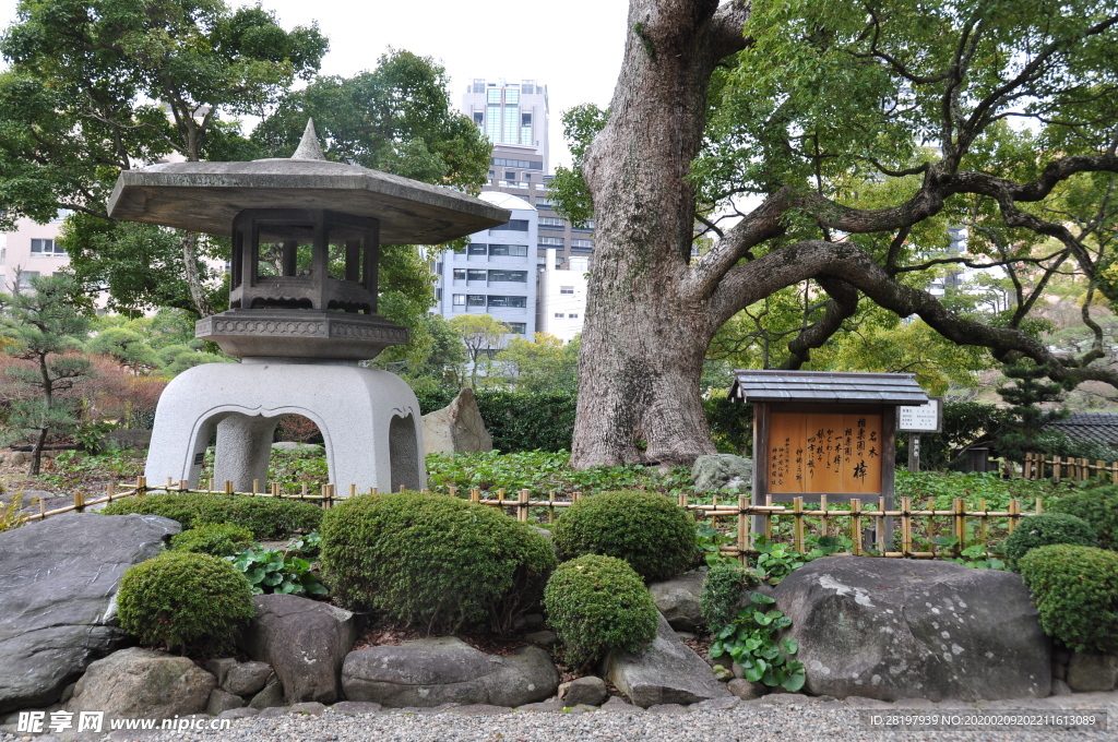 2019 日本 旅游 神户