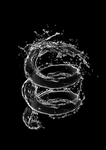水波纹