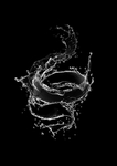 水波纹
