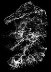 水波纹
