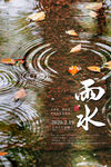 雨水
