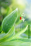 雨水