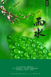 雨水