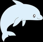 海豚