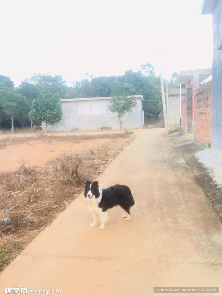 自然美景