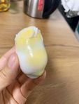 鸡蛋白