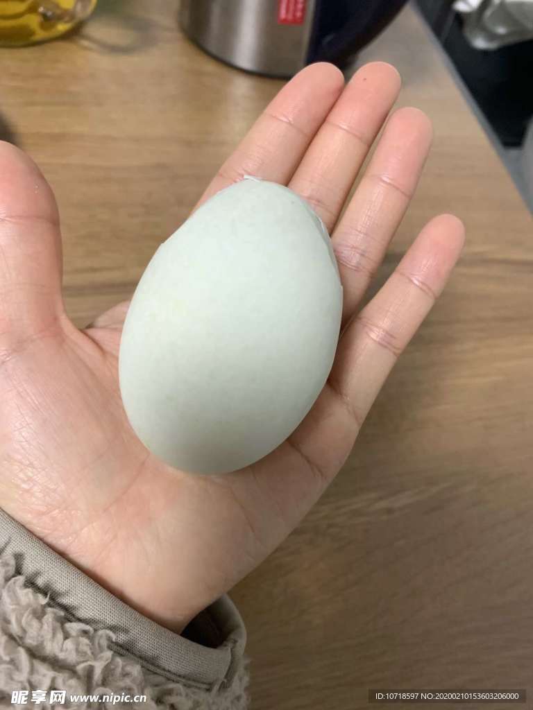 鸡蛋白