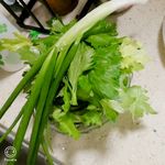 蔬菜青菜