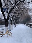 马路公路