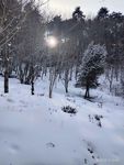 山水风光