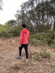山水风光