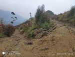 山水风光