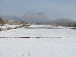 崔坪雪景
