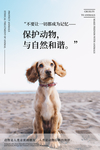 保护动物