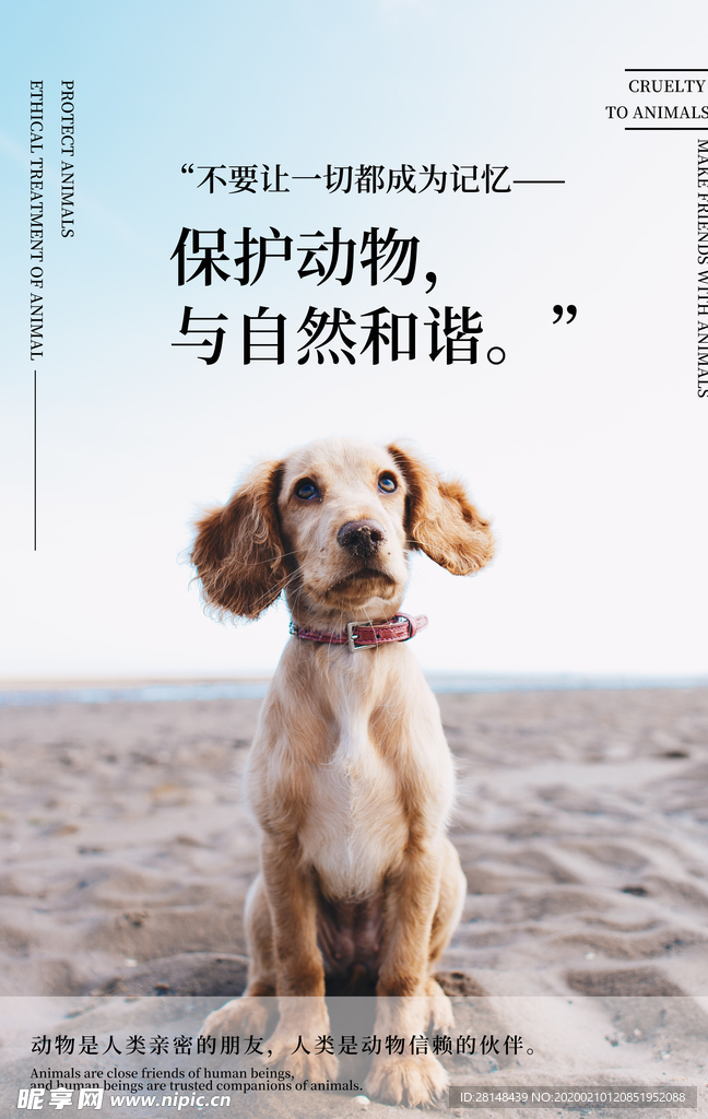 保护动物
