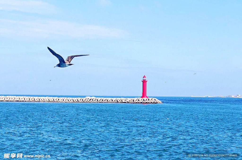 大海
