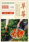 草莓