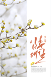 春夏唯美植物
