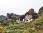 武夷山马头岩-茶叶产区