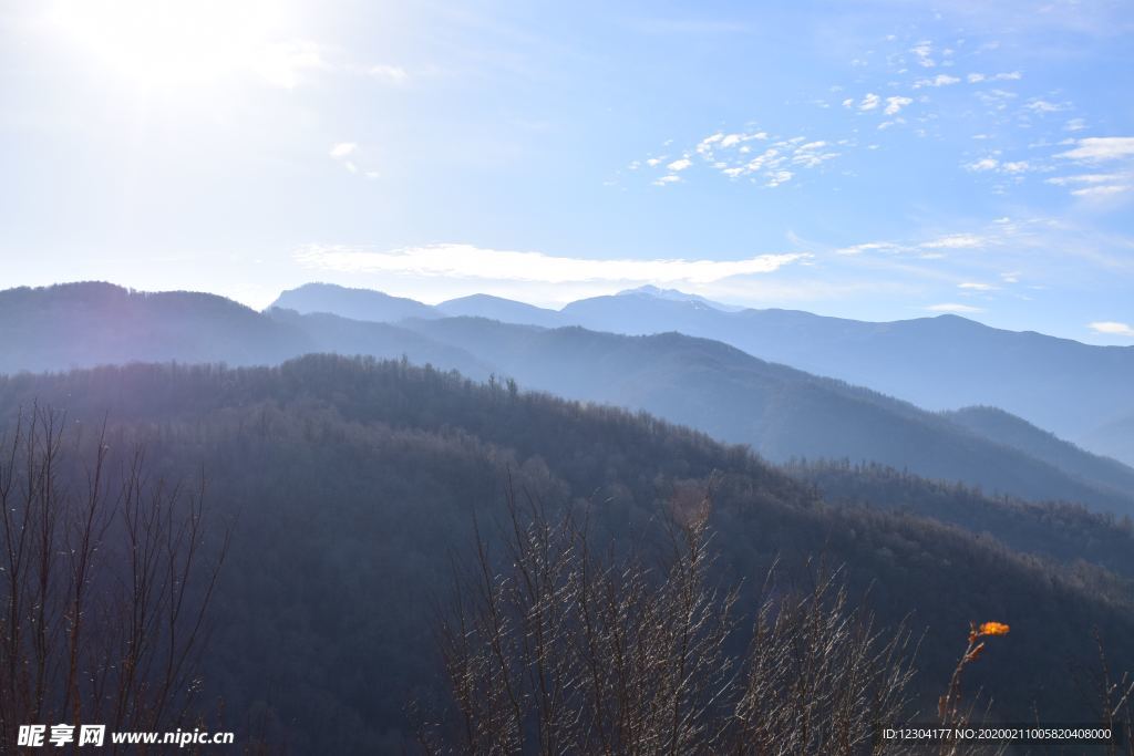 山