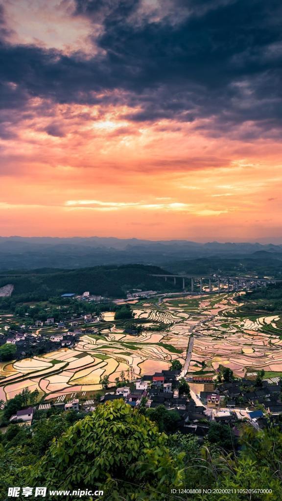 梯田