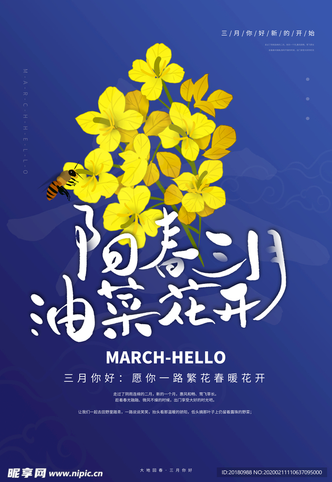油菜花开
