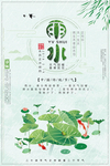 荷花 荷叶