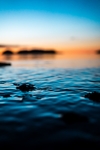 海