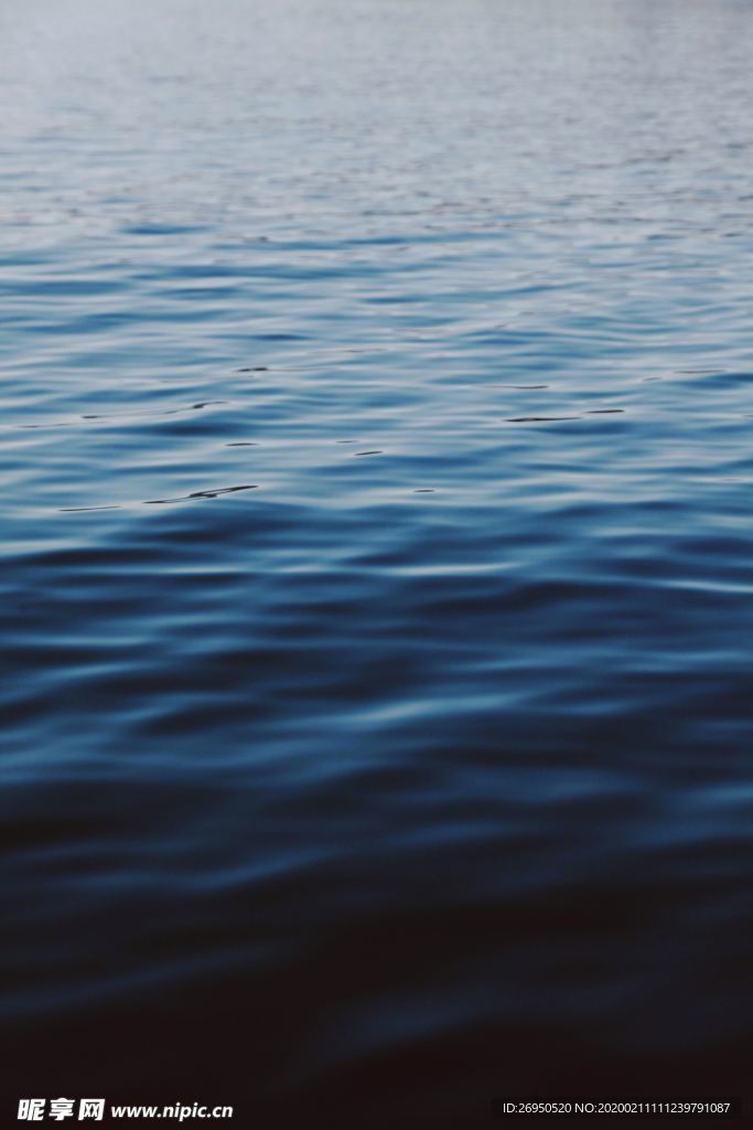 海水