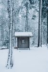 雪景