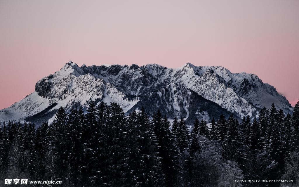 雪景