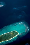 海