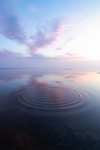 水纹