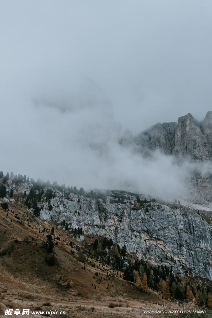 雪景