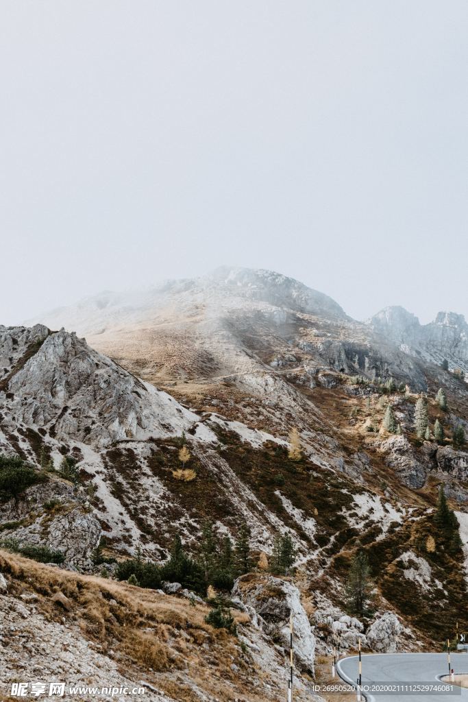 雪景