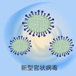 2020年新型官状病毒
