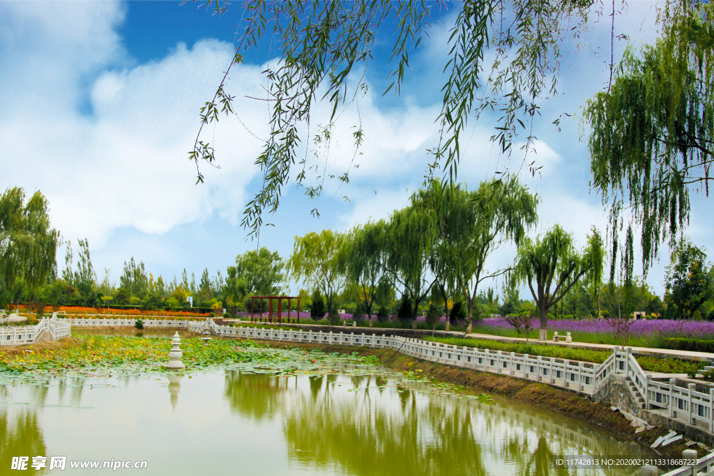 湖边  人工湖  花草湖边