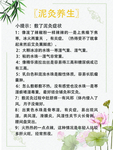 泥灸养生海报