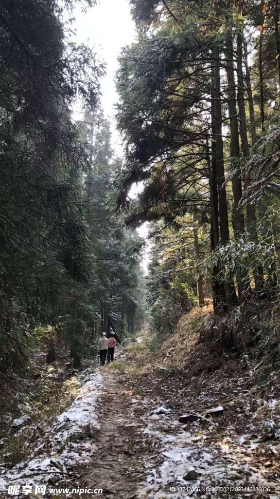山间小路