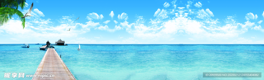 海滩椰树壁纸