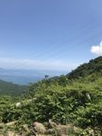 风景
