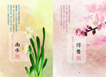 惊蛰 梅花