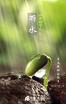 豆芽 发芽