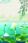 柳树 柳枝