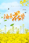 油菜花