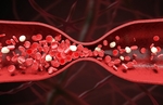 血红细胞血管场景